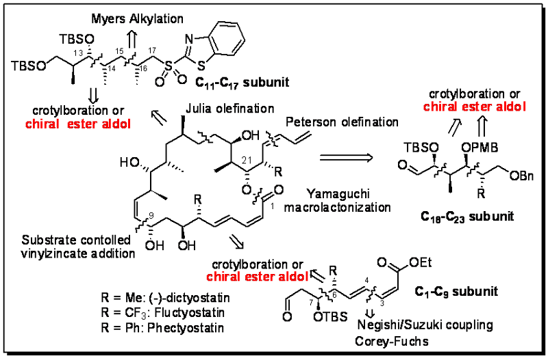 dictyostatin synthesis